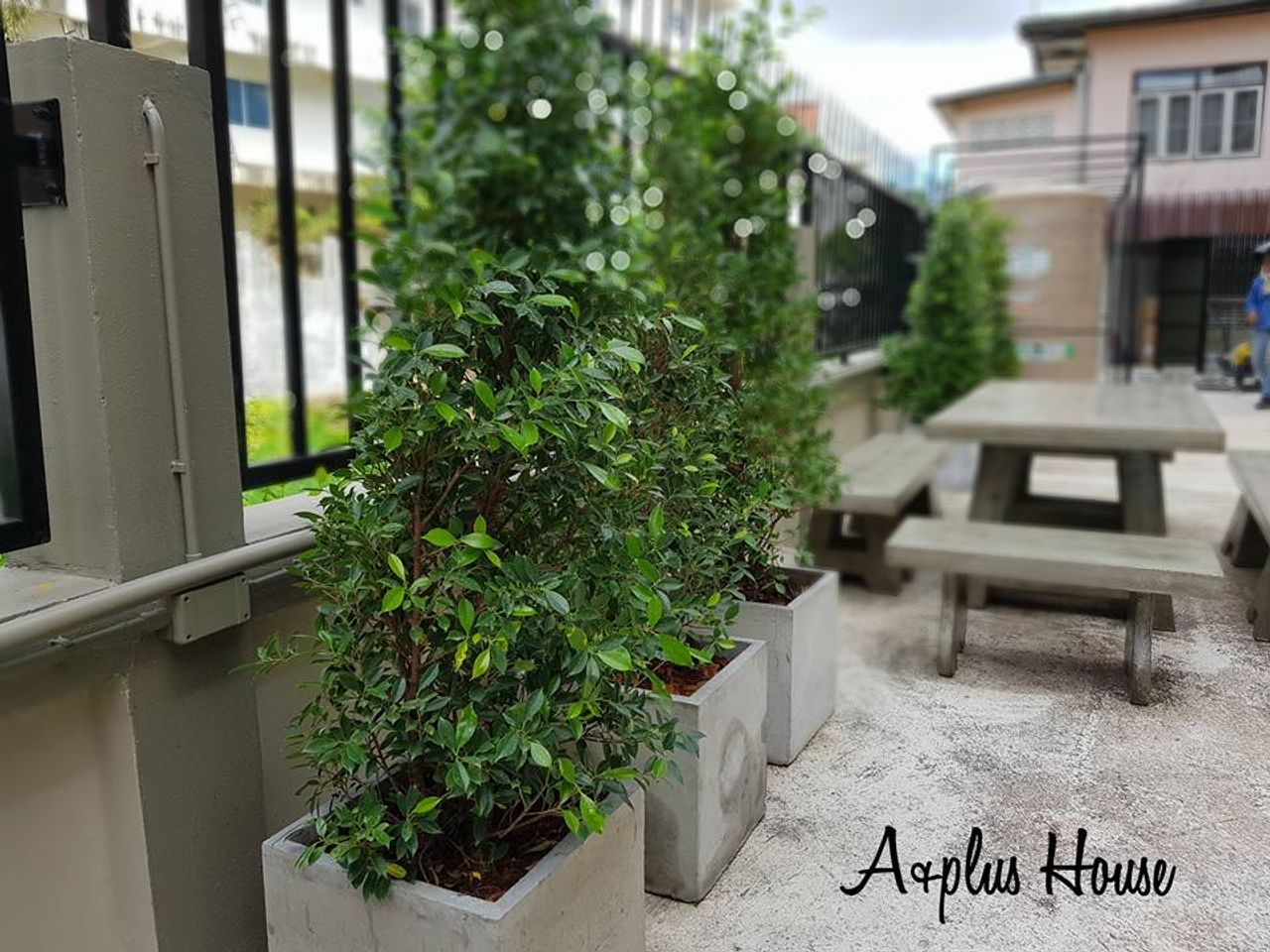 รูปภาพเพิ่มเติม เอ-พลัส-เฮ้าส์-อพาร์ทเม้นท์ - A-Plus-House-Apartment - ลำดับที่ 4