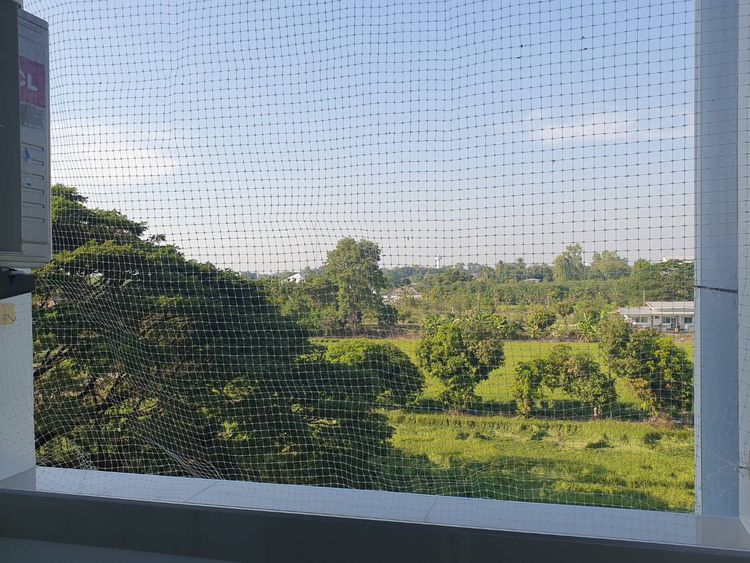 ภาพแบบห้อง
