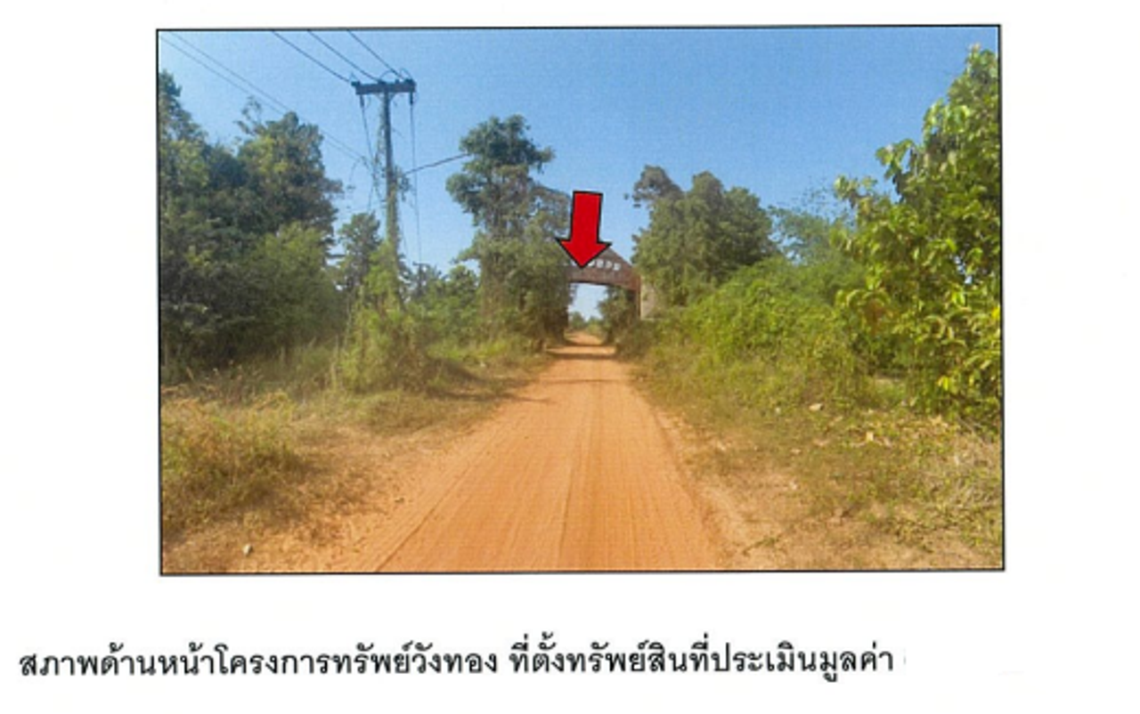 รูปภาพเพิ่มเติม ขายที่ดิน-11-ไร่-2-งาน-ราคา-3.6-ล้านบาท-ในอำเภอวังทอง-ตำบลแก่งโสภา - ลำดับที่ 7