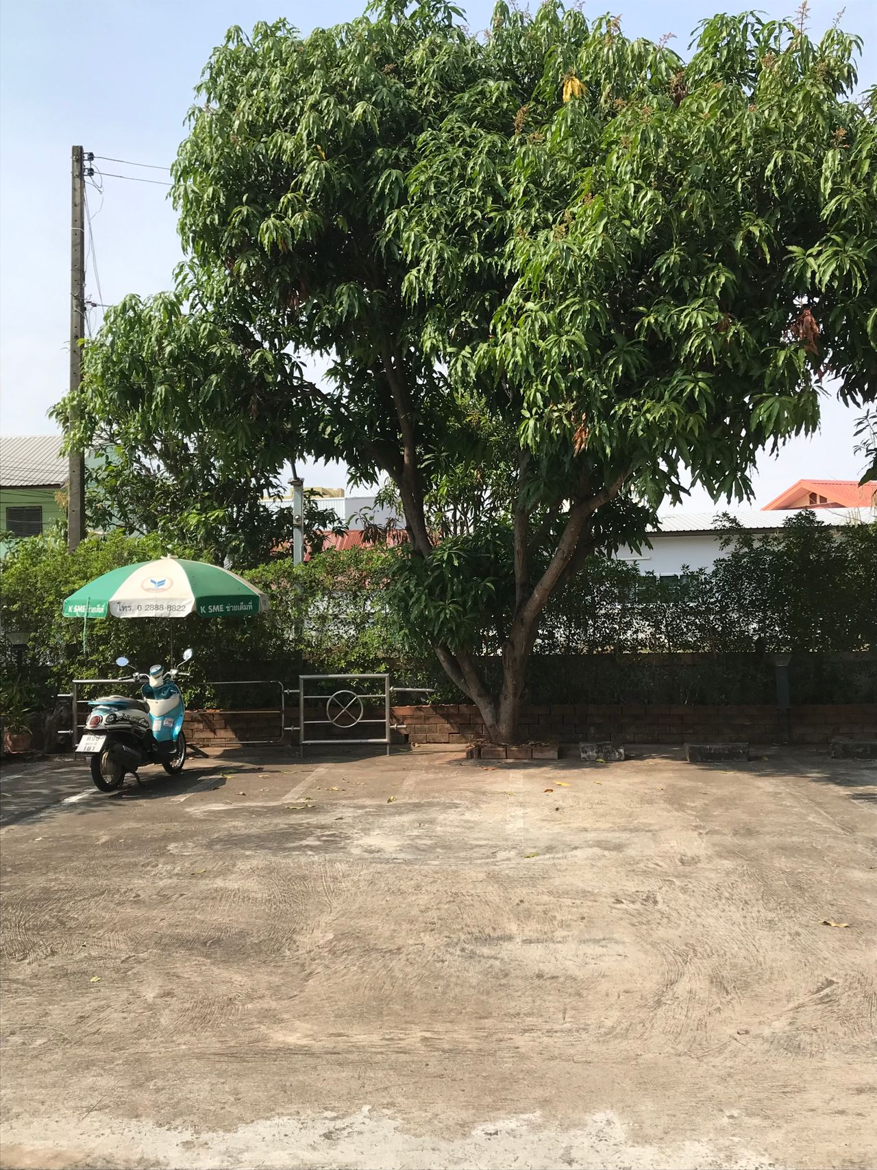 รูปภาพเพิ่มเติม พรตระกูลเพลส-นิวโซน - Porndhakulplace-New-Zone - ลำดับที่ 4