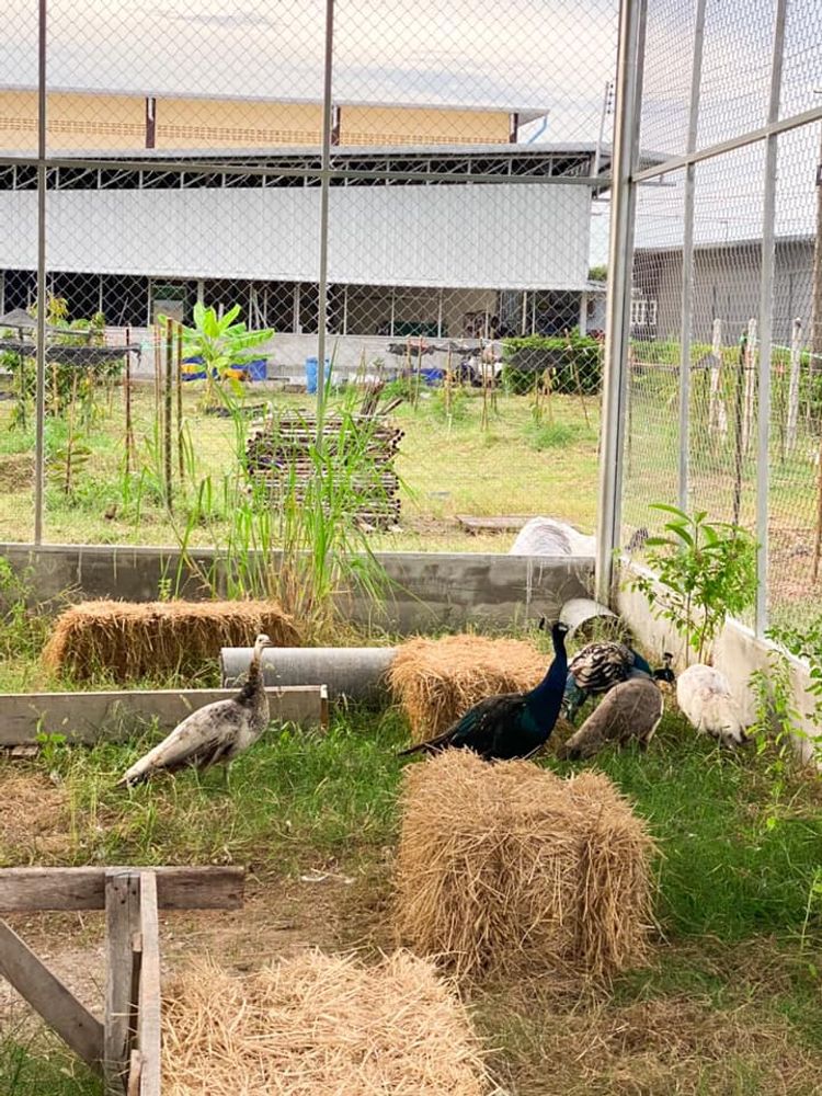 ภาพแบบห้อง