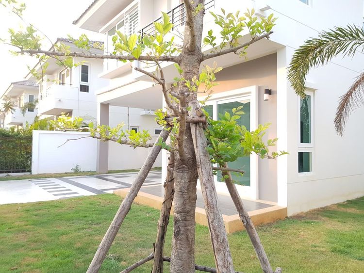 ภาพแบบบ้าน-ศุภลักขณา