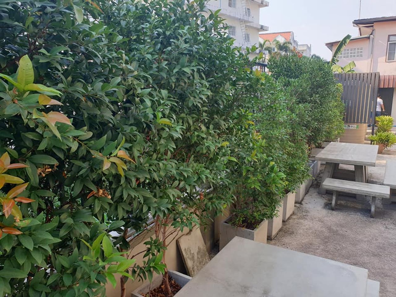 รูปภาพเพิ่มเติม เอ-พลัส-เฮ้าส์-อพาร์ทเม้นท์ - A-Plus-House-Apartment - ลำดับที่ 14