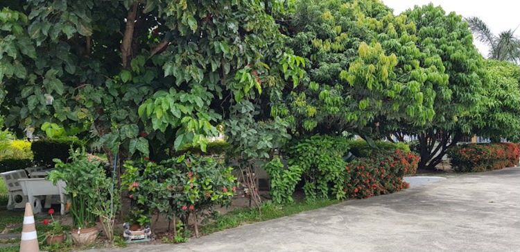 ภาพแบบห้อง