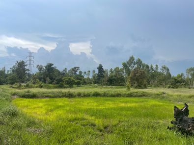 ขายที่ดิน ห่างจากถนนชยางกูร 150เมตร