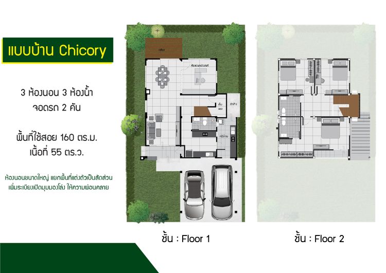 ภาพแบบบ้าน-Chicory