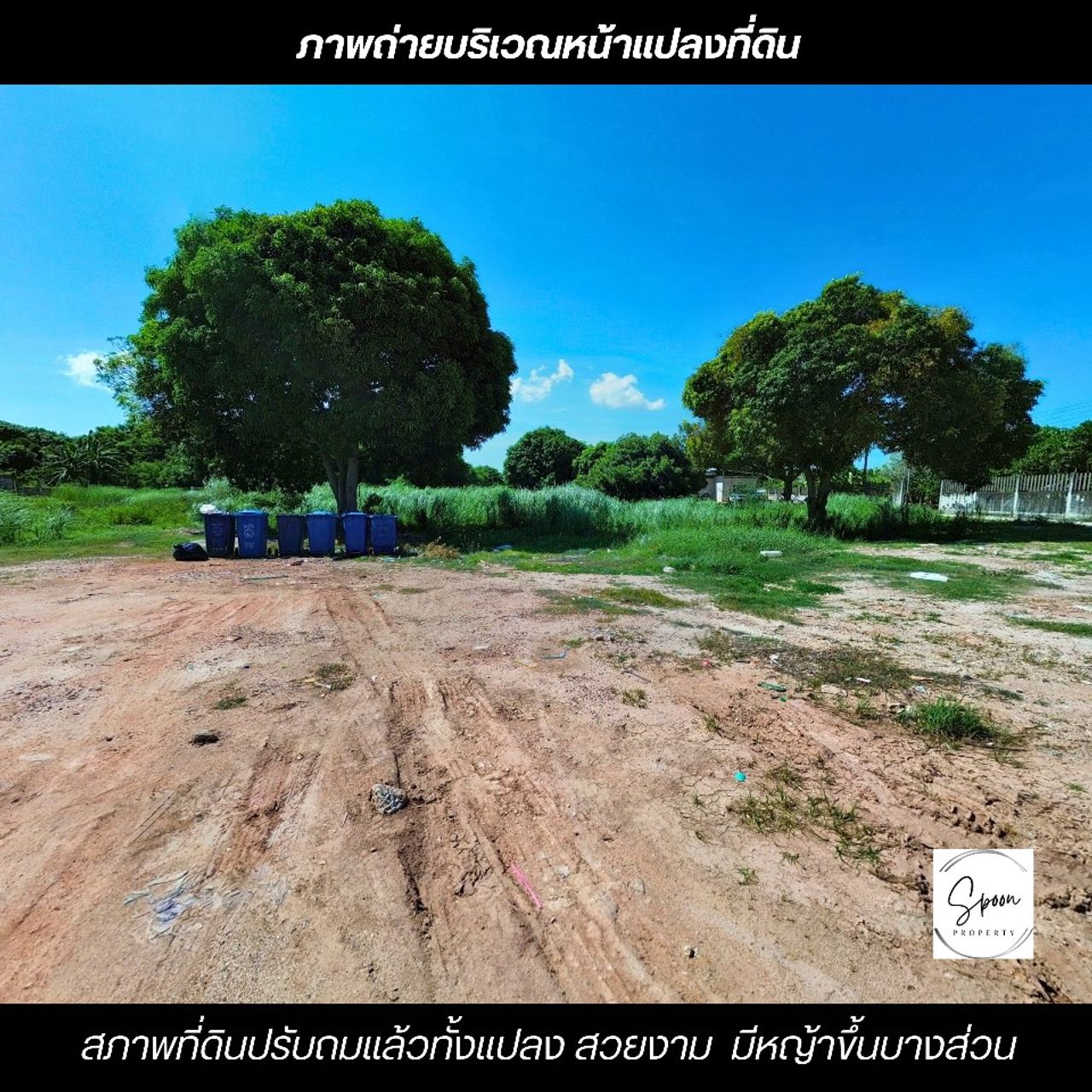 รูปภาพเพิ่มเติม ขายที่ดินเมืองระยอง-ปรับถมแล้วทั้งแปลง-แหล่งชุมชน - ลำดับที่ 5