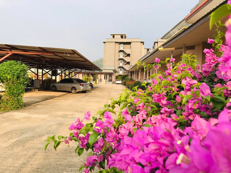 ภาพแบบห้อง