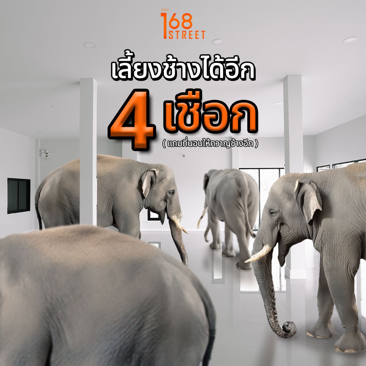 รูปภาพเพิ่มเติม 168 สตรีท โฮมออฟฟิศ ไซต์ XL - ลำดับที่ 4