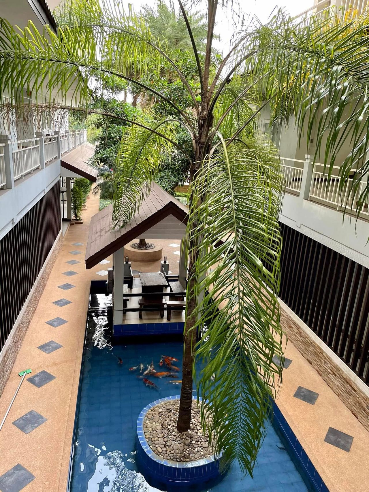 รูปภาพเพิ่มเติม ปาล์มการ์เดนท์เพลส - Palm-garden-place - ลำดับที่ 15