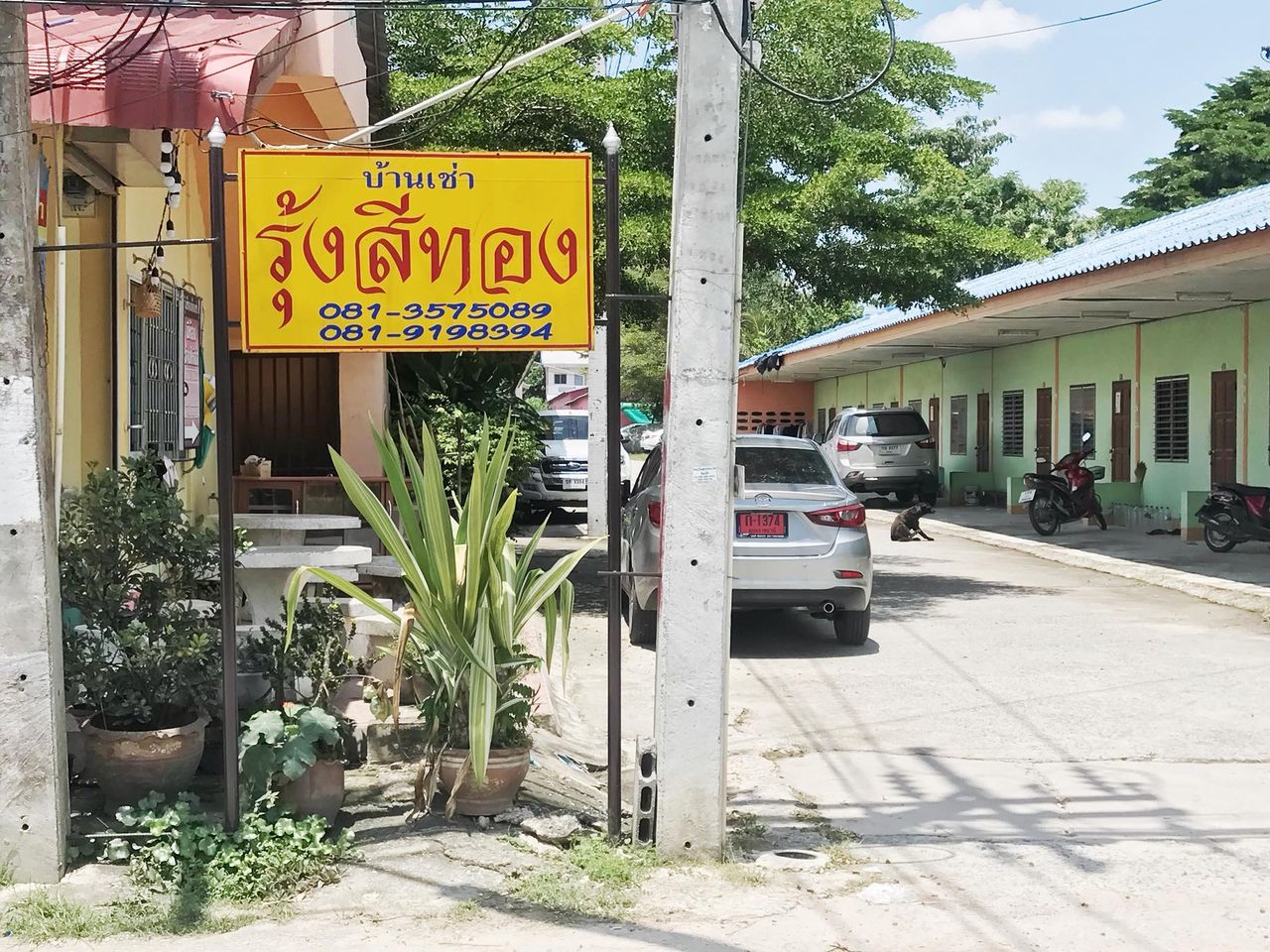 รูปภาพเพิ่มเติม บ้านพัก-รุ้งสีทอง - Rungsrithong-House - ลำดับที่ 4