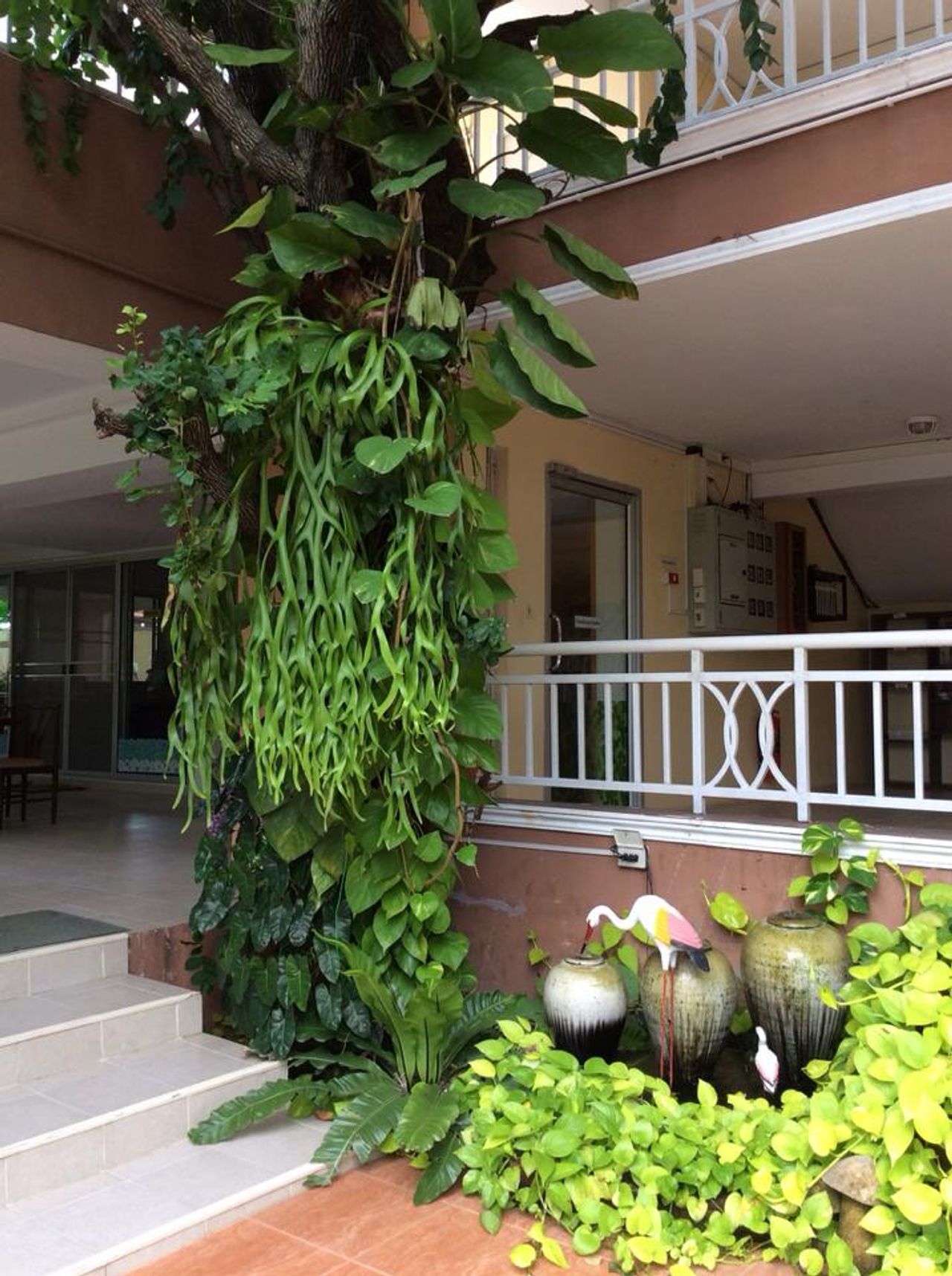 รูปภาพเพิ่มเติม บ้านอยู่ดี-อพาร์ทเม้นท์ - U.D-Home-Apartment - ลำดับที่ 15
