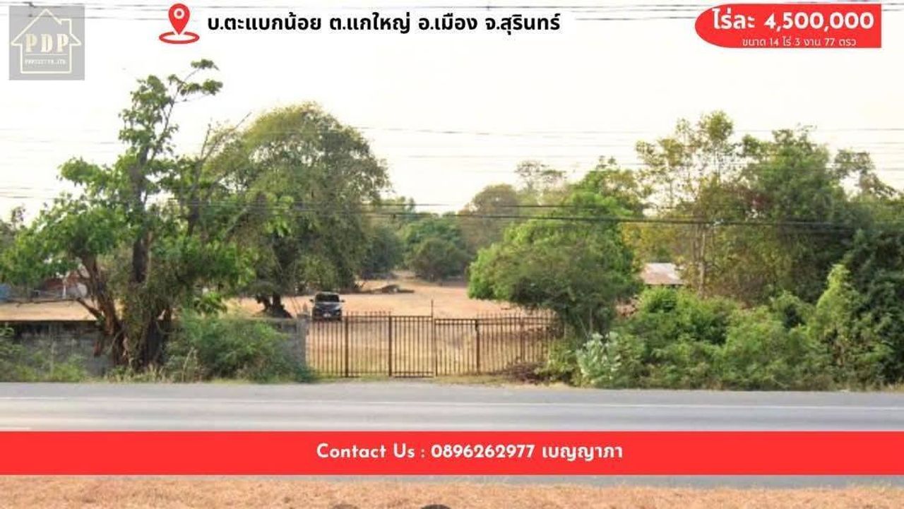 รูปภาพเพิ่มเติม ขายที่ดินติดทรัพย์-ราคาพร้อมจบเสนอมาเลยจ้า-ขายถูก-ติดถนนสาธารณะ-แกใหญ่-ติดถนนเส้นหลัก-214 - ลำดับที่ 1