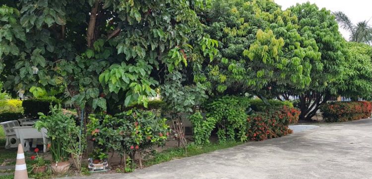 ภาพแบบห้อง