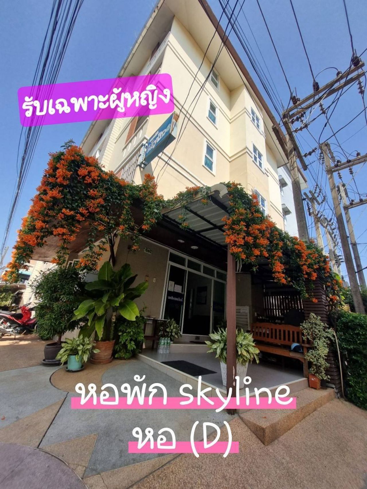 รูปภาพเพิ่มเติม สกายไลน์อพาร์ทเม้นท์ - Skyline-Apartment - ลำดับที่ 3