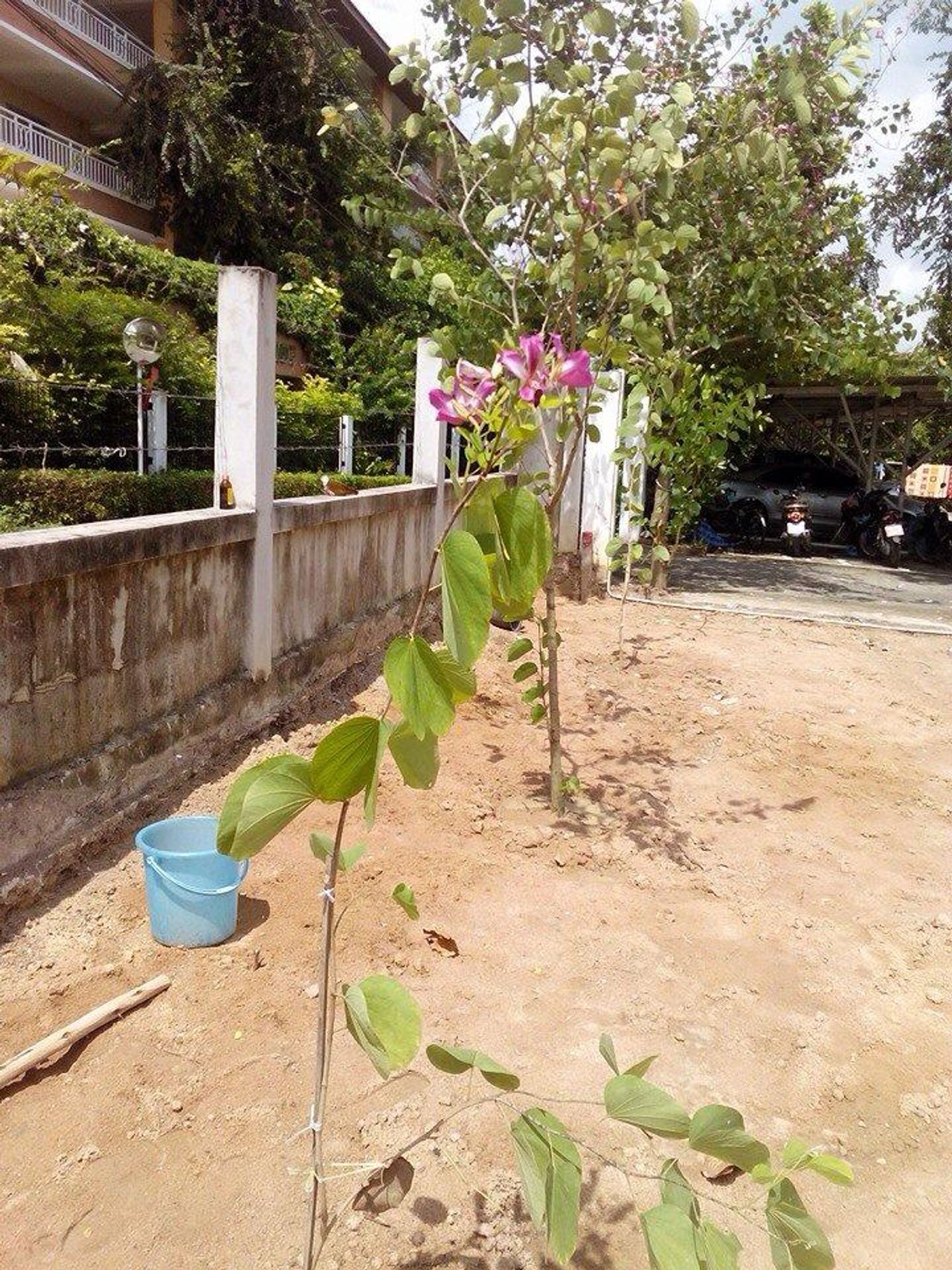 รูปภาพเพิ่มเติม บ้านอยู่ดี-อพาร์ทเม้นท์ - U.D-Home-Apartment - ลำดับที่ 8