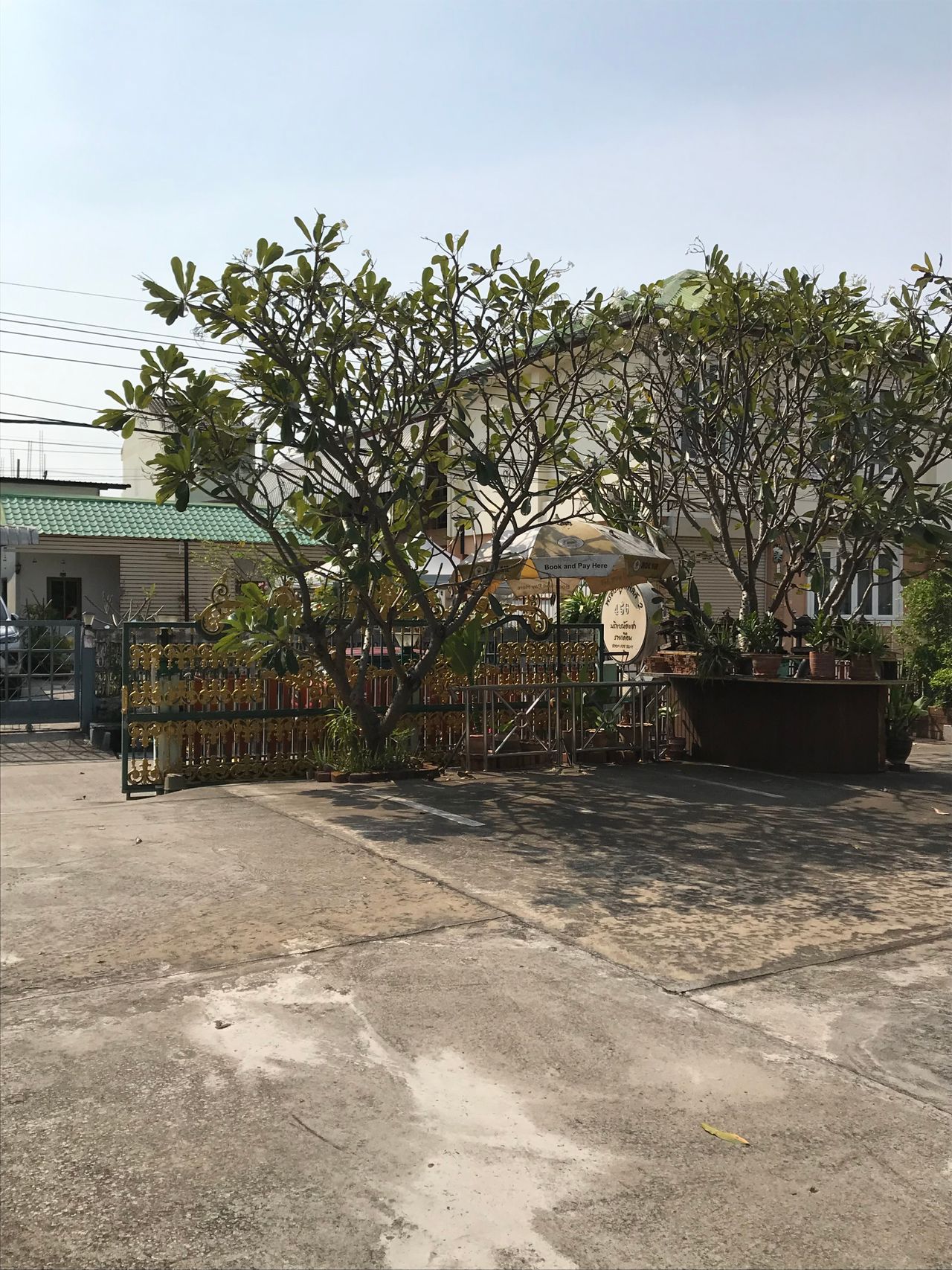 รูปภาพเพิ่มเติม พรตระกูลเพลส-นิวโซน - Porndhakulplace-New-Zone - ลำดับที่ 5