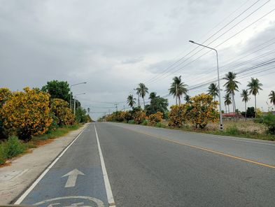 ขายที่ดินระยอง พลา บ้านฉาง 8-3-98ไร่ ใกล้สนามบินนานาชาติอู่ตะเภา ติดถนนลงหาดพลา