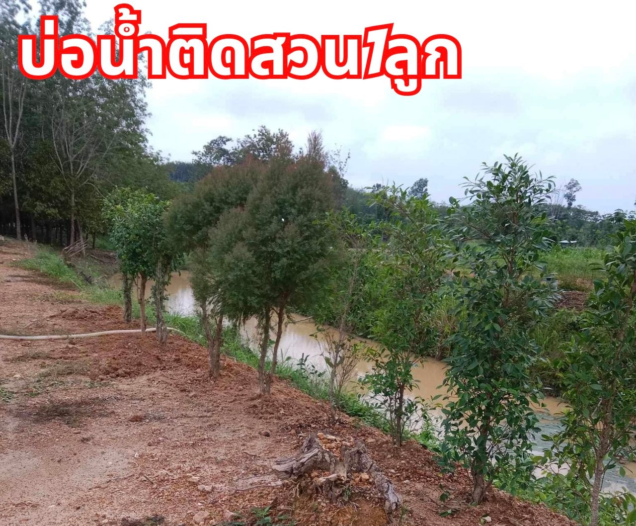 รูปภาพเพิ่มเติม ขายที่ดิน - ลำดับที่ 8