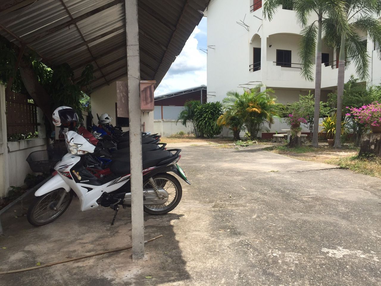 รูปภาพเพิ่มเติม บ้านชบาคำหอม-ใกล้ม.อุบล-ตลาดมีเจริญ-ศูนย์อนามัยที่-10-ปั้มน้ำมัน-PT - ลำดับที่ 4