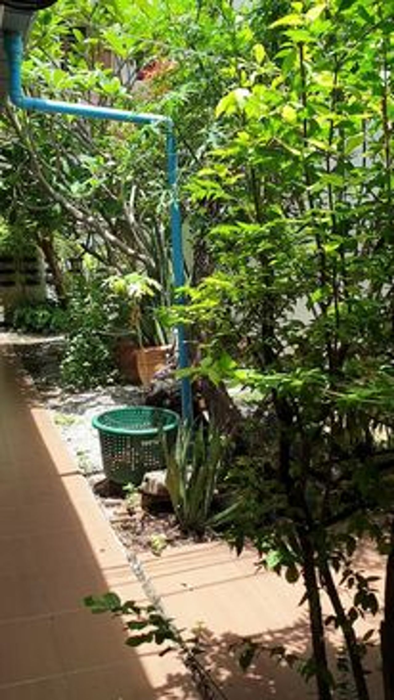รูปภาพเพิ่มเติม บ้านแหวน-บางแสน - Baan-Waen - ลำดับที่ 5