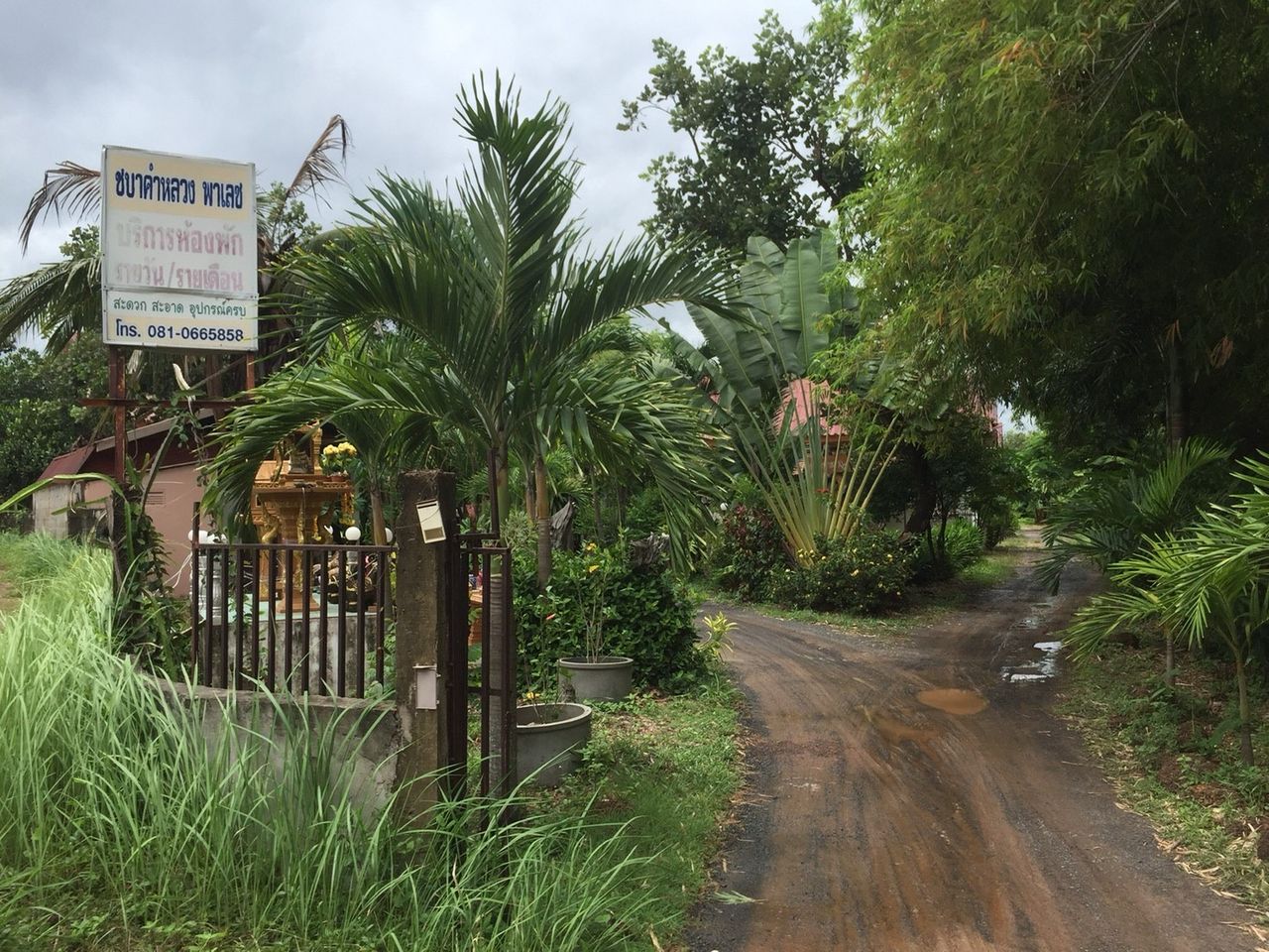 รูปภาพเพิ่มเติม บาคำหลวง-พาเลส-ใกล้ม.อุบล-รร.บ้านบัววัด-ศูนย์อนามัยที่-10 - ลำดับที่ 8
