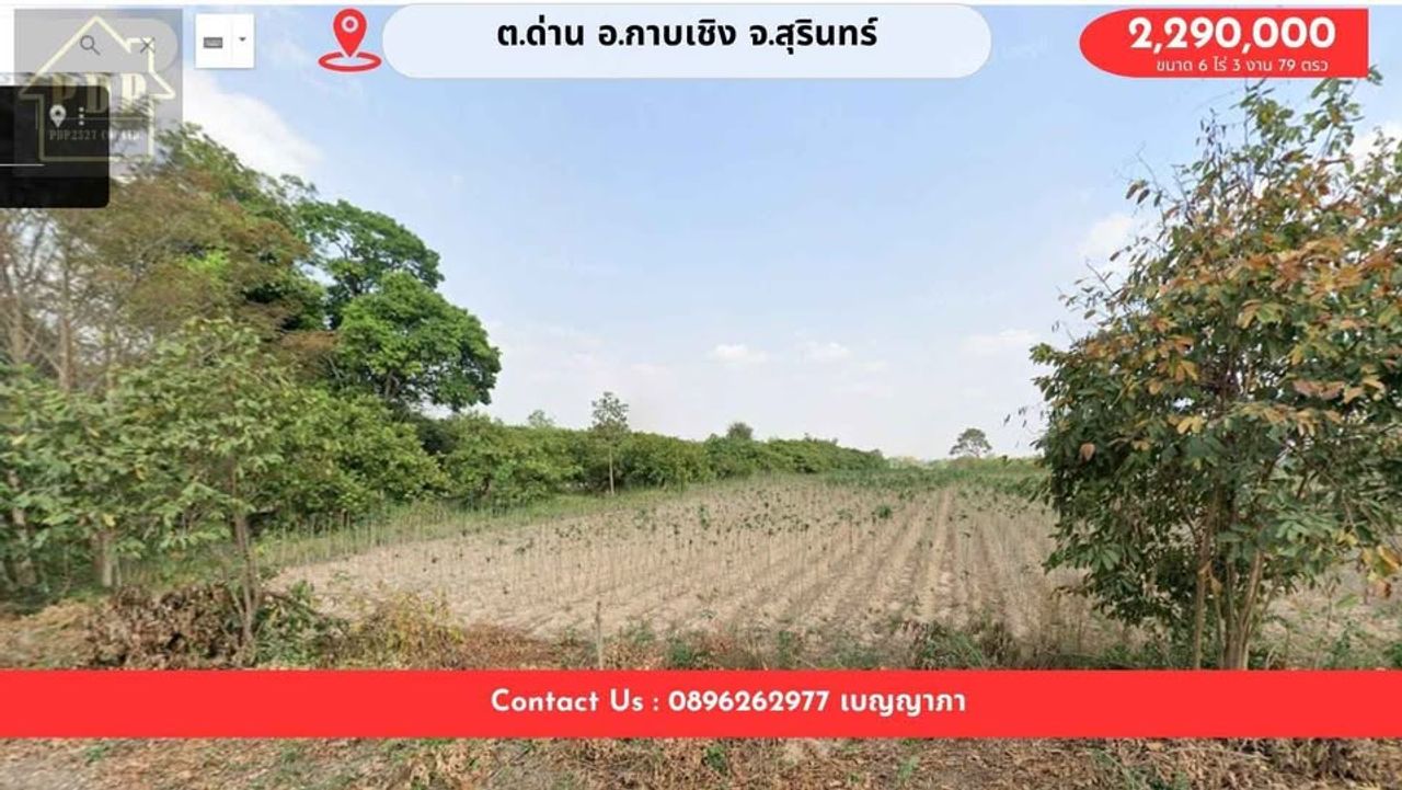 รูปภาพเพิ่มเติม ขายที่ดินยกแปลง-ติดเส้น24ทำเลดีมากหน้ากว้าง-ขายที่ดินติดถนนใหญ่-เส้น-224-–-ทำเลทอง-บ้านโคกเวง-ต.ตาเบา-อ.ปราสาท-จ.สุรินทร์ - ลำดับที่ 3