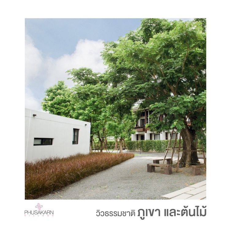 ภาพแบบห้อง