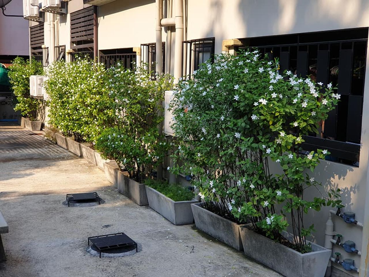 รูปภาพเพิ่มเติม เอ-พลัส-เฮ้าส์-อพาร์ทเม้นท์ - A-Plus-House-Apartment - ลำดับที่ 12