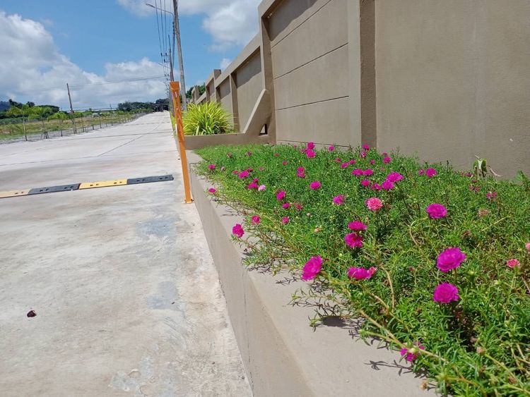 ภาพแบบห้อง