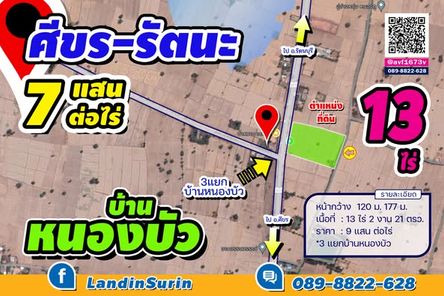 ขายที่ดิน13 ไร่ แยก บ้านหนองบัว 7 แสน/ไร่