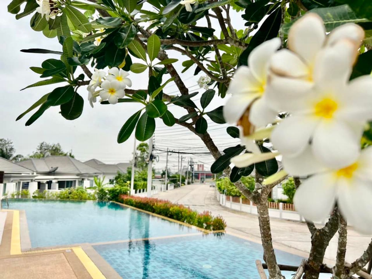 รูปภาพเพิ่มเติม หมู่บ้าน รินรดา - ลำดับที่ 18