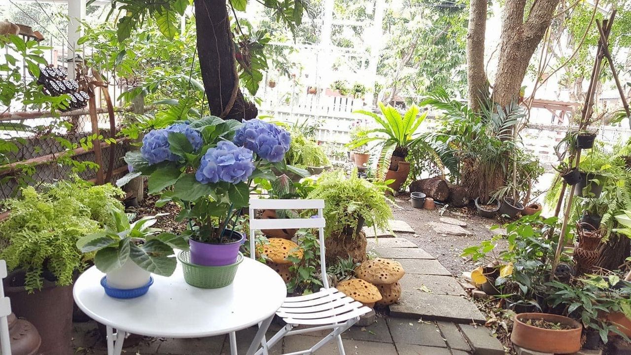 รูปภาพเพิ่มเติม บ้านแหวน-บางแสน - Baan-Waen - ลำดับที่ 6