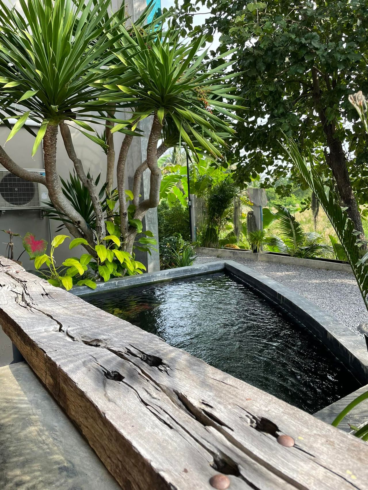 รูปภาพเพิ่มเติม ลักษณารีย์-รีสอร์ท - Luxsanaree-Resort - ลำดับที่ 8