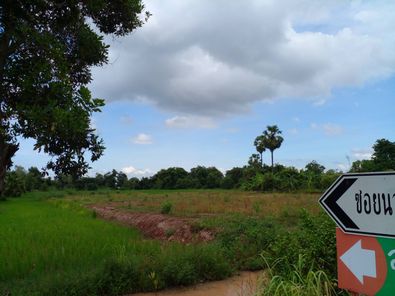 ขายที่ดิน 1-0-0 THB3,080,000 หนองนาคำ เมือง อุดรธานี