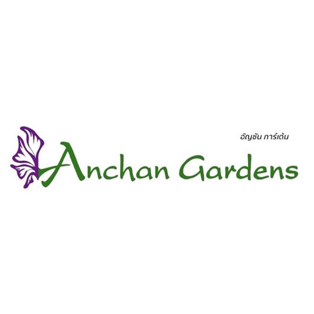 รูปโลโก้ใบประกาศ