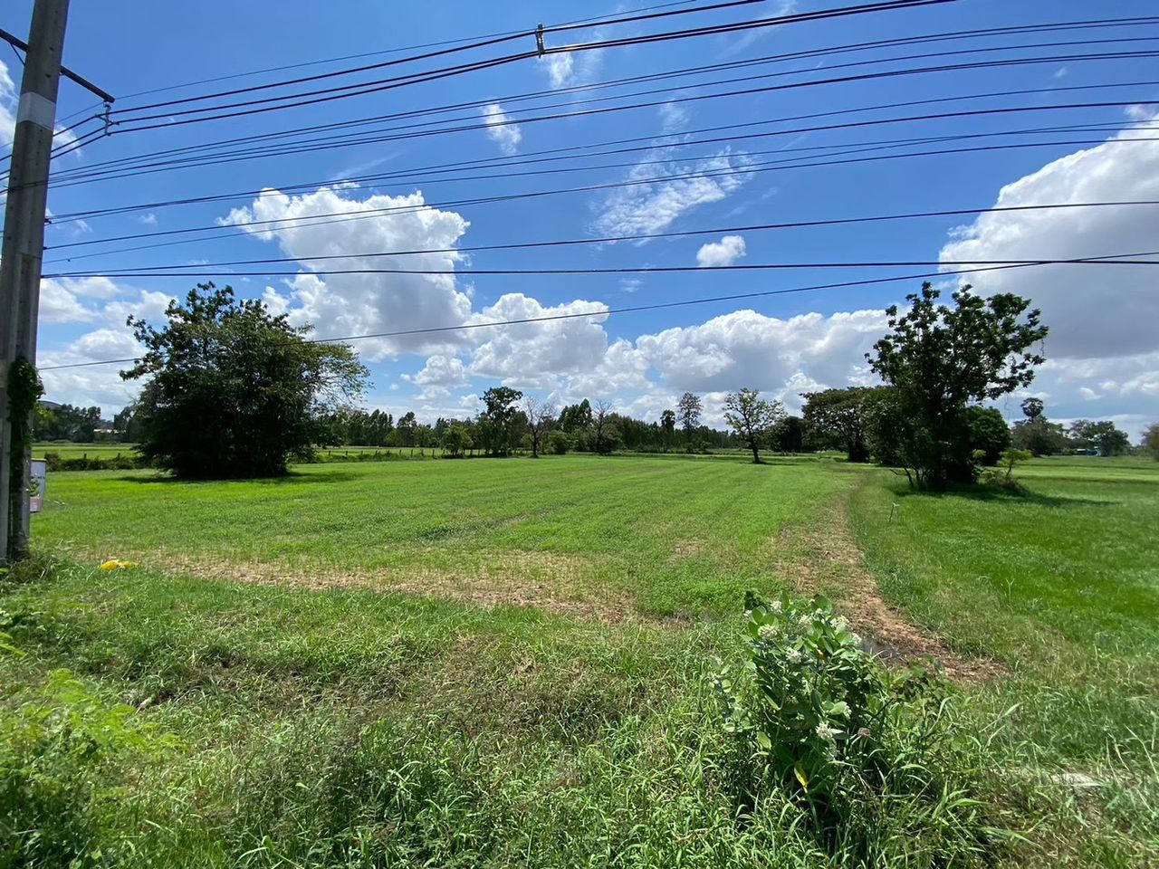 รูปภาพเพิ่มเติม ขายที่ดิน - ลำดับที่ 5