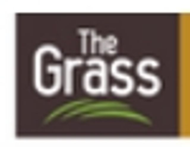 รูปโลโก้ใบประกาศ