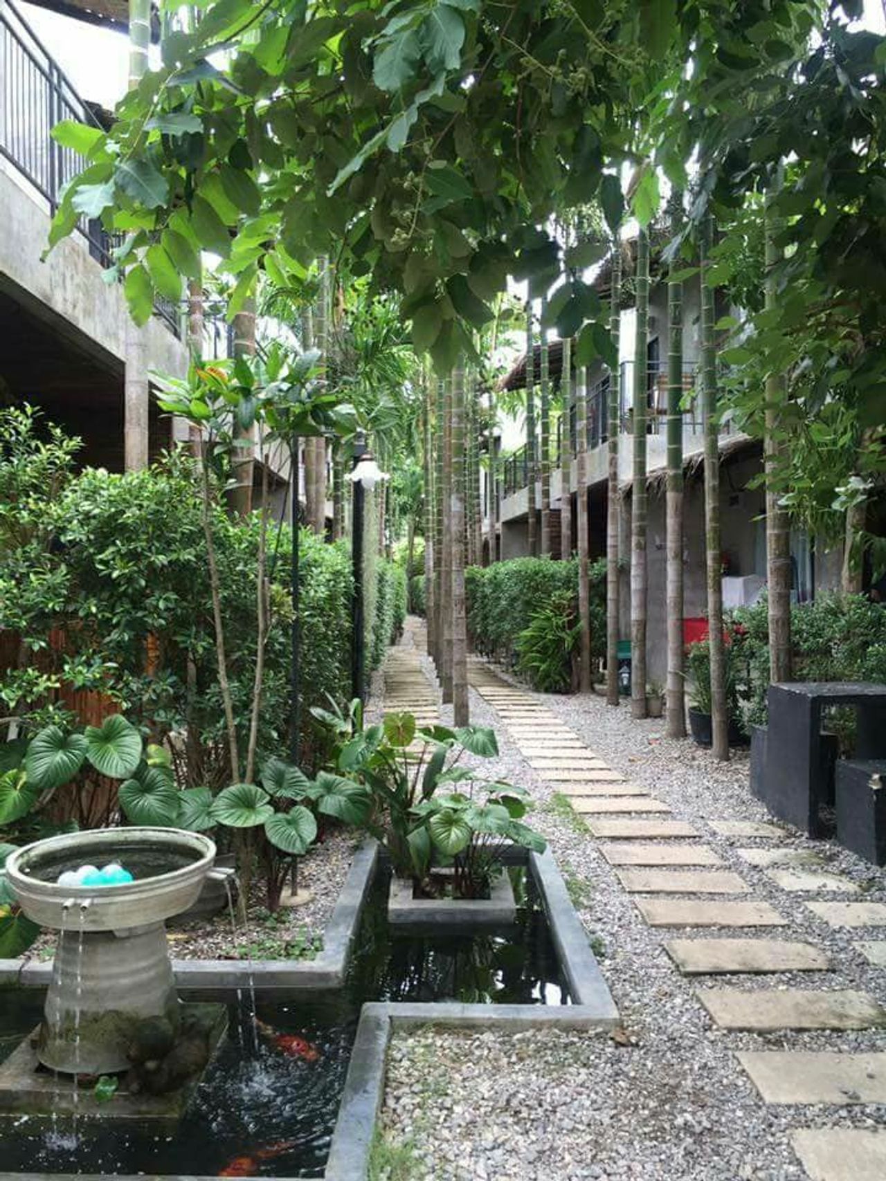 รูปภาพเพิ่มเติม ห้องพักรายเดือน-เขาเต่า - Room-Fer-Rent-Khao-Tao - ลำดับที่ 3