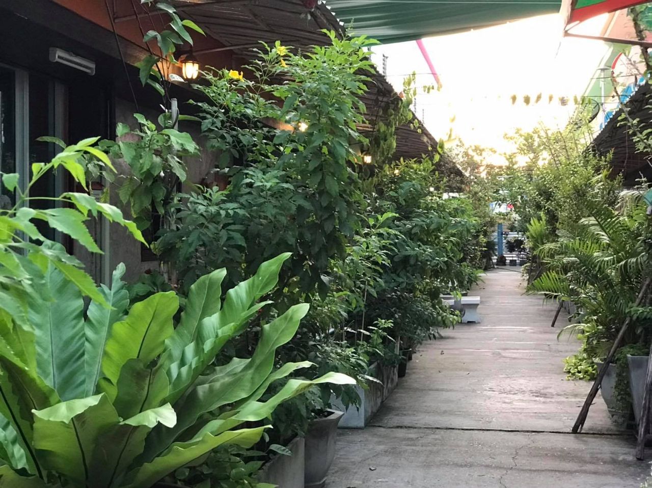 รูปภาพเพิ่มเติม วินนี่-อพาร์ตเมนต์-ระยอง - Winny-ApartmentRayong - ลำดับที่ 7