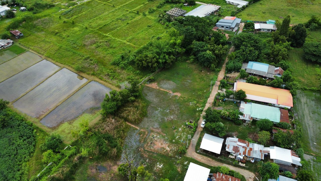 รูปภาพเพิ่มเติม ขายที่ดิน-2-ไร่-50-ตร.ว.-ท่าพระ-บ้านหนองบัวดีหมี-หลัง-โอมาคาร์เสะคาร์ - ลำดับที่ 6