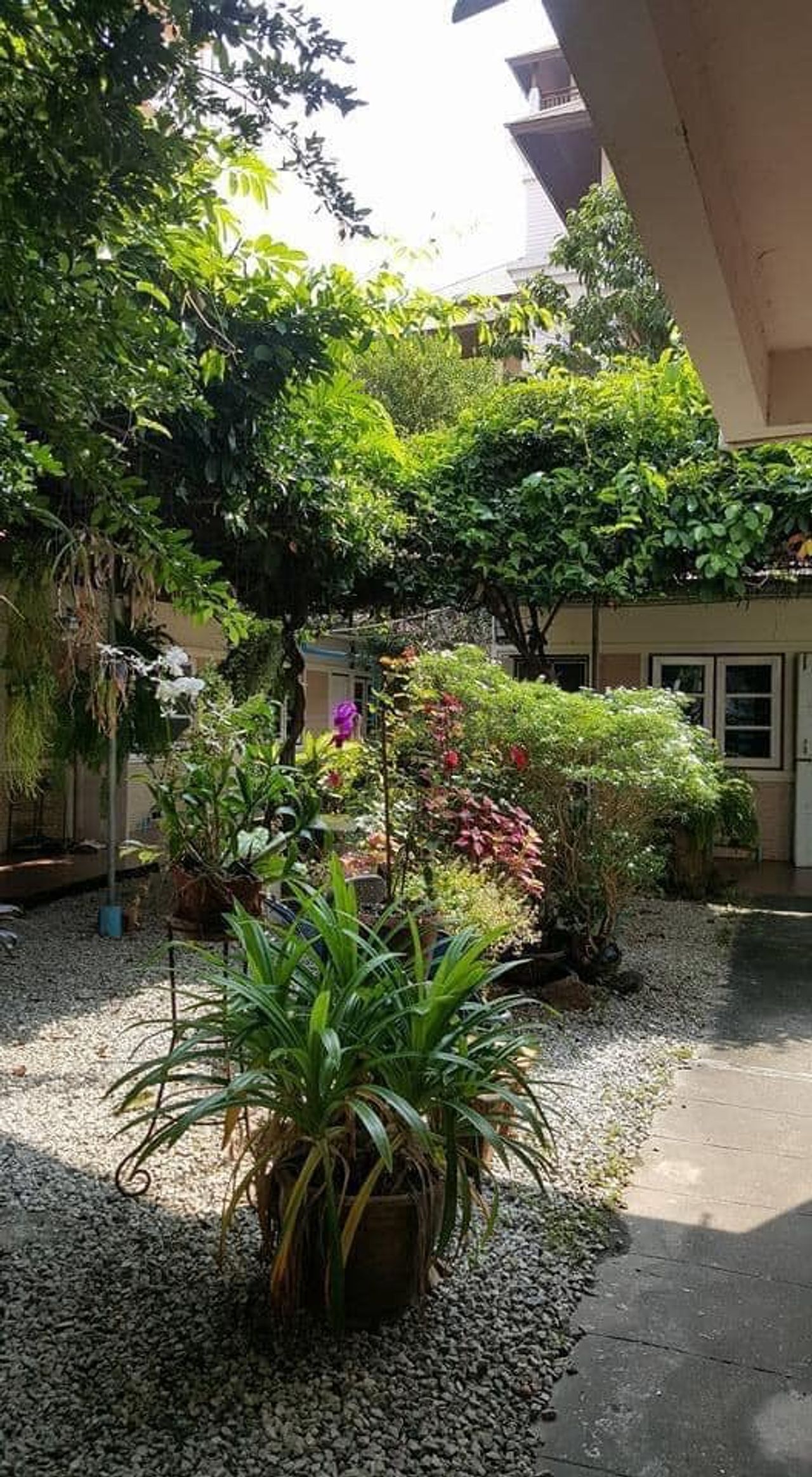 รูปภาพเพิ่มเติม บ้านแหวน-บางแสน - Baan-Waen - ลำดับที่ 9