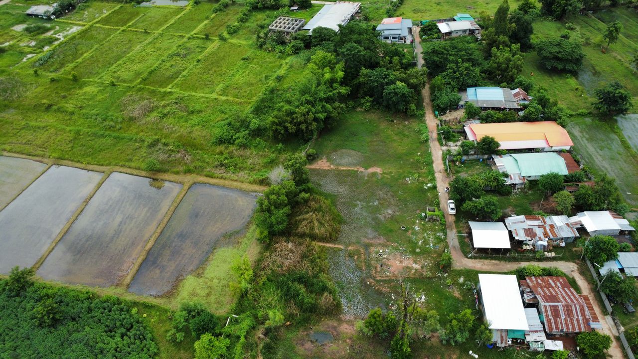 รูปภาพเพิ่มเติม ขายที่ดิน-2-ไร่-50-ตร.ว.-ท่าพระ-บ้านหนองบัวดีหมี-หลัง-โอมาคาร์เสะคาร์ - ลำดับที่ 5