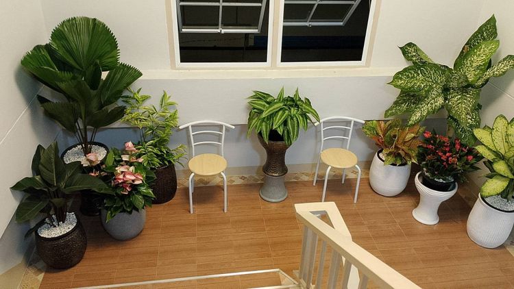 ภาพแบบห้อง