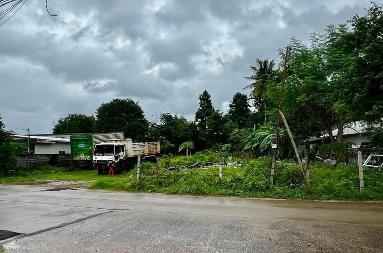 รูปภาพเพิ่มเติม ขายที่ดินถนนทุ่งหลวง - ลำดับที่ 4