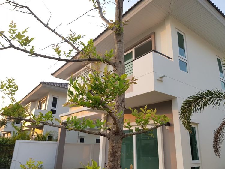 ภาพแบบบ้าน-ศุภลักขณา