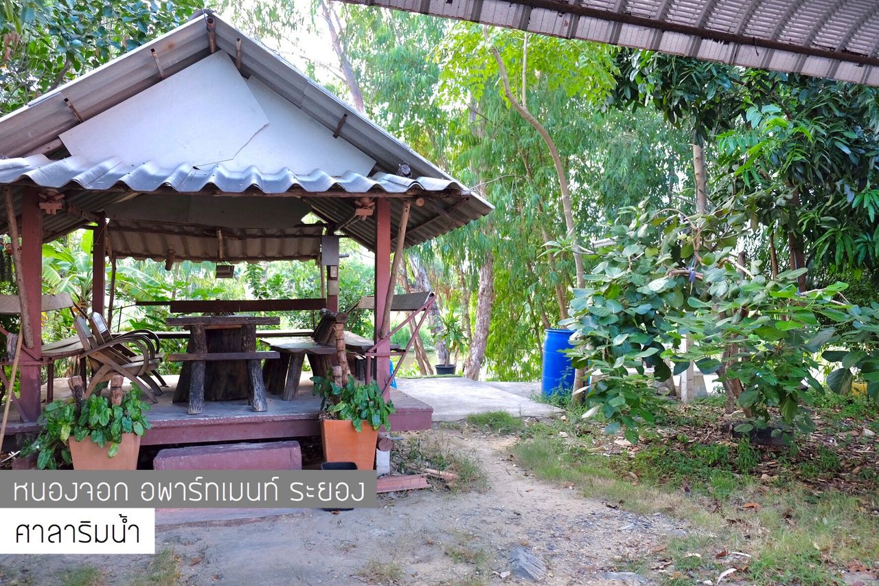 รูปภาพเพิ่มเติม หนองจอก-อพาร์ทเมนท์-ระยอง - Nongchok-Apartment-Rayong - ลำดับที่ 10