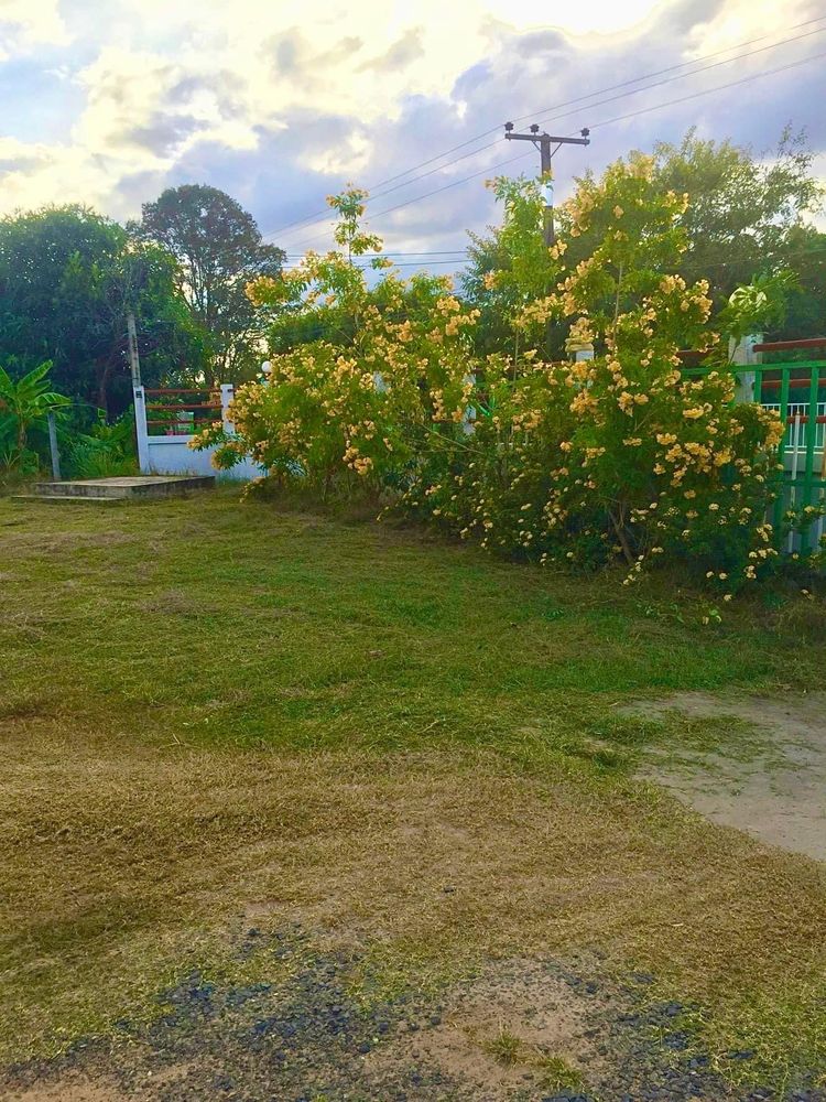 ภาพแบบห้อง