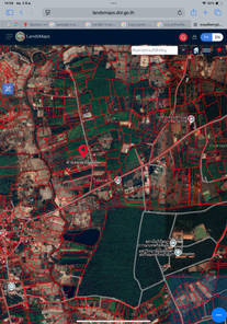ขายที่ดิน โนนหงษ์ทอง - อุบลฯ ตระการ JsBDtvx2