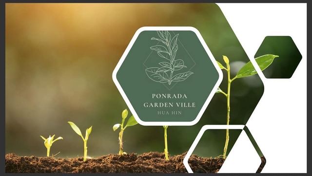 รูปโลโก้ใบประกาศ